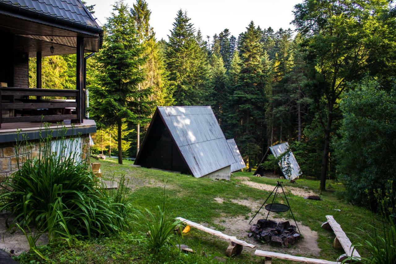 Lesna Willa Pttk W Komanczy Komańcza Exterior foto