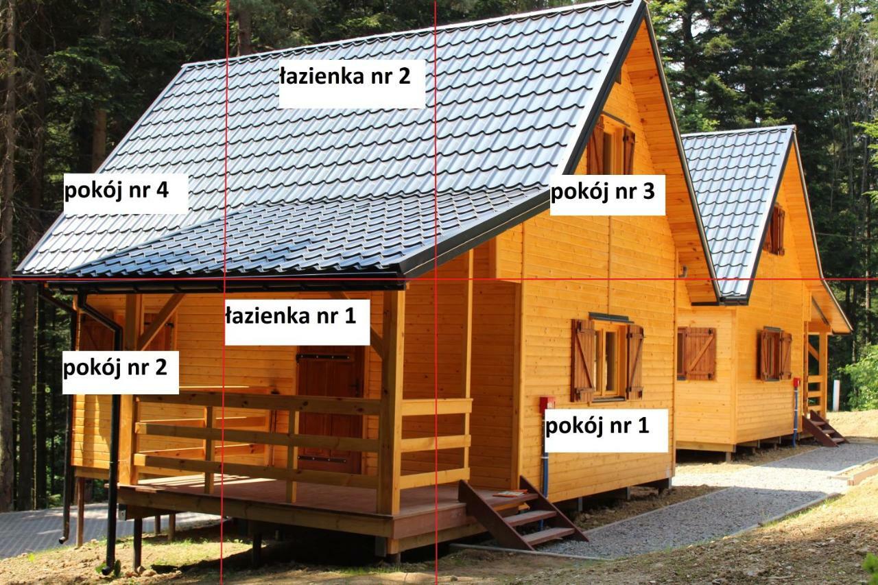 Lesna Willa Pttk W Komanczy Komańcza Exterior foto