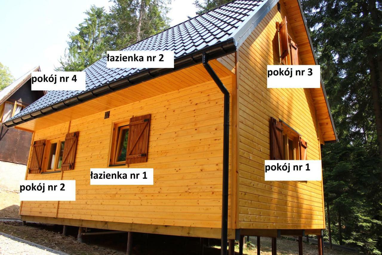 Lesna Willa Pttk W Komanczy Komańcza Exterior foto