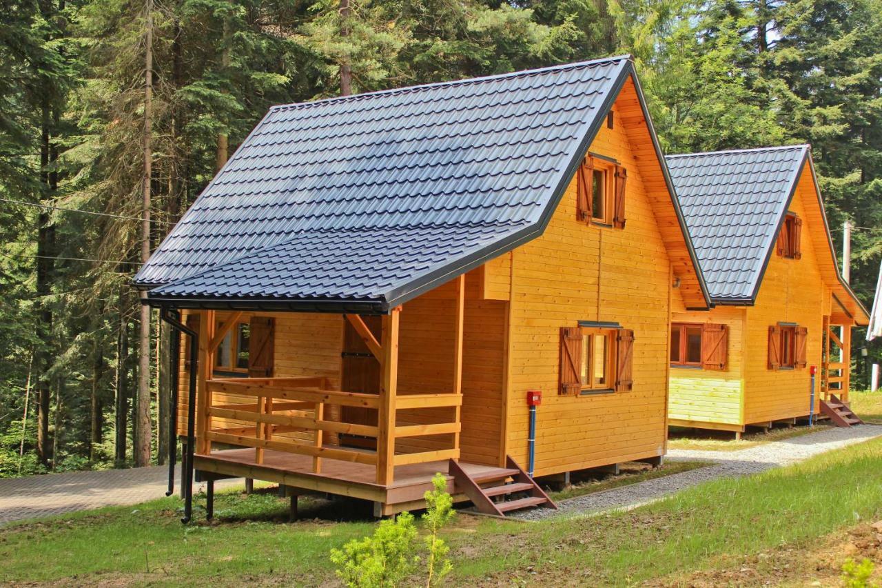 Lesna Willa Pttk W Komanczy Komańcza Exterior foto